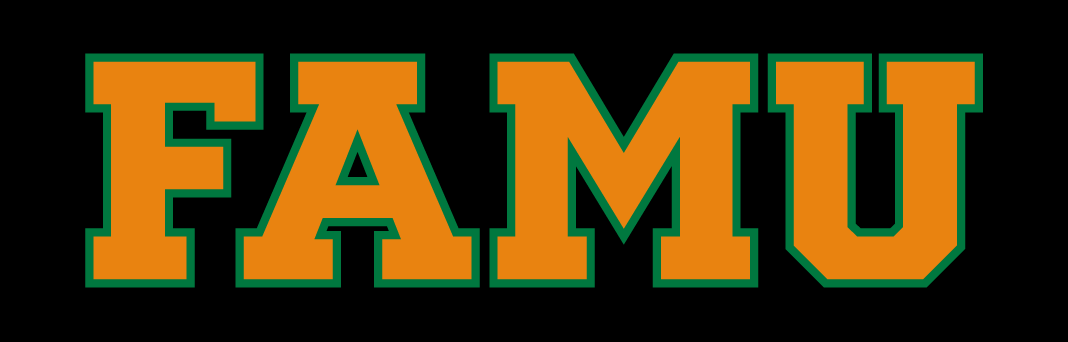 Florida A&M Rattlers 2013-pres wordmark logo v5 diy DTF decal sticker